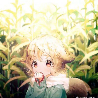 中国外交部、韩国外交部同日表态